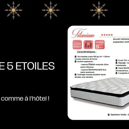 Апартаменты Loge Galeries Lafayette 1 Min Анси